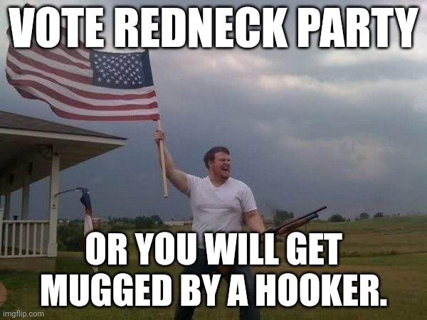 Can't guarantee it won't happen anyway, NYC is stupid | VOTE REDNECK PARTY; OR YOU WILL GET MUGGED BY A HOOKER. | image tagged in american flag shotgun guy,remember to vote tomoroww | made w/ Imgflip meme maker