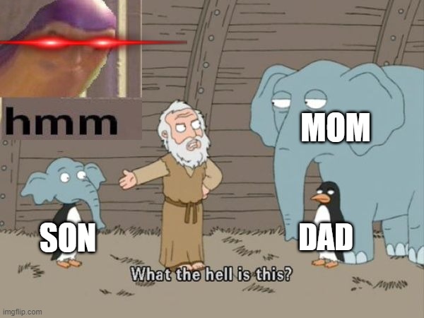 noah's ark but in hmmm moment | MOM; DAD; SON | image tagged in what the hell is this | made w/ Imgflip meme maker