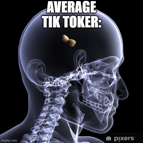 Sorry | AVERAGE TIK TOKER: | image tagged in peanut brain,tik tok sucks | made w/ Imgflip meme maker