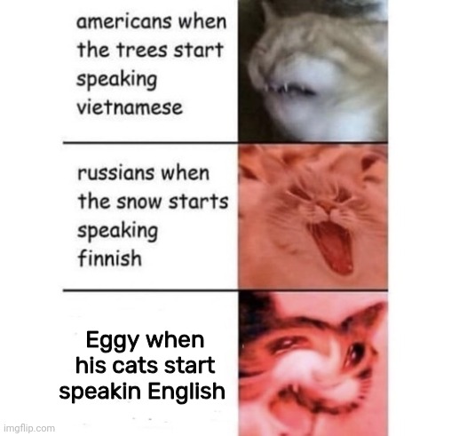 They learned | Eggy when his cats start speakin English | image tagged in snow speaking finnish | made w/ Imgflip meme maker