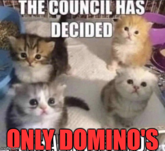 The council has decided lethal injection | ONLY DOMINO'S | image tagged in the council has decided lethal injection | made w/ Imgflip meme maker