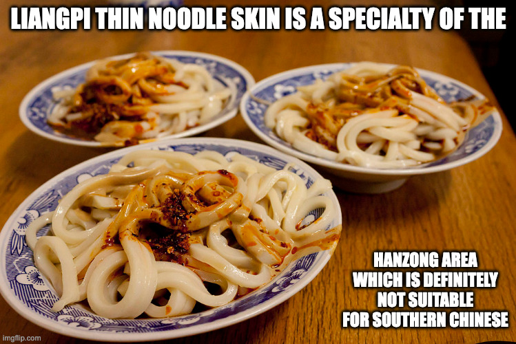 Liangpi | LIANGPI THIN NOODLE SKIN IS A SPECIALTY OF THE; HANZONG AREA WHICH IS DEFINITELY NOT SUITABLE FOR SOUTHERN CHINESE | image tagged in food,noodles,memes | made w/ Imgflip meme maker