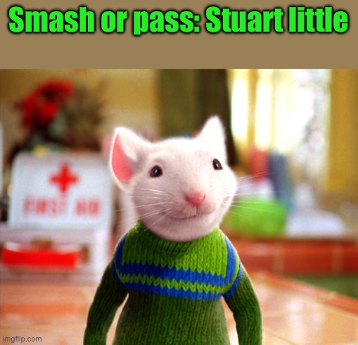 Stuart Little | Smash or pass: Stuart little | image tagged in stuart little | made w/ Imgflip meme maker