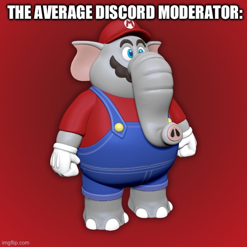 This is so fitting | THE AVERAGE DISCORD MODERATOR: | image tagged in elephant mario | made w/ Imgflip meme maker
