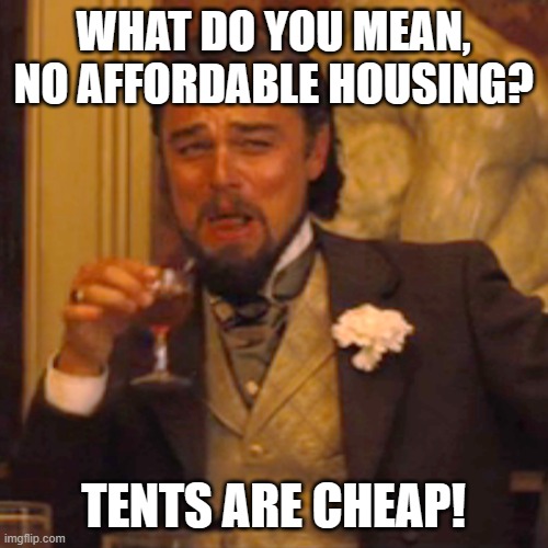 Laughing Leo Meme | WHAT DO YOU MEAN, NO AFFORDABLE HOUSING? TENTS ARE CHEAP! | image tagged in memes,laughing leo | made w/ Imgflip meme maker
