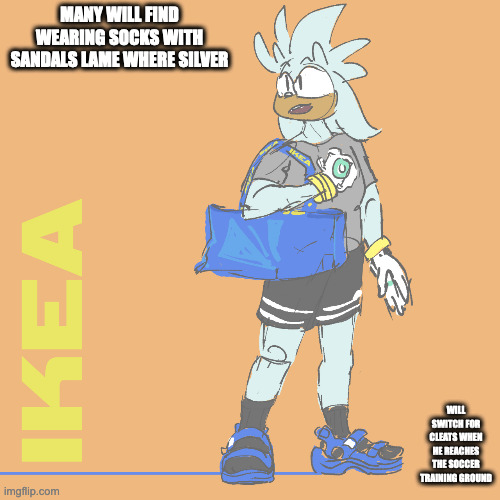 Silver in Soccer Attire | MANY WILL FIND WEARING SOCKS WITH SANDALS LAME WHERE SILVER; WILL SWITCH FOR CLEATS WHEN HE REACHES THE SOCCER TRAINING GROUND | image tagged in silver the hedgehog,sonic the hedgehog,memes | made w/ Imgflip meme maker