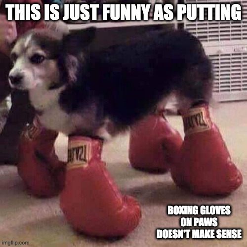 Boxing Gloves on Paws | THIS IS JUST FUNNY AS PUTTING; BOXING GLOVES ON PAWS DOESN'T MAKE SENSE | image tagged in dogs,memes,funny | made w/ Imgflip meme maker