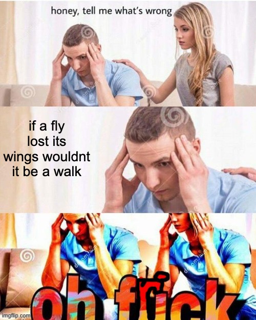 or would it be a crawl i don't know | if a fly lost its wings wouldnt it be a walk | image tagged in oh frick,shower thoughts,fly | made w/ Imgflip meme maker