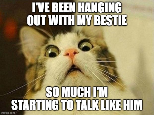 Scared Cat | I'VE BEEN HANGING OUT WITH MY BESTIE; SO MUCH I'M STARTING TO TALK LIKE HIM | image tagged in memes,scared cat | made w/ Imgflip meme maker