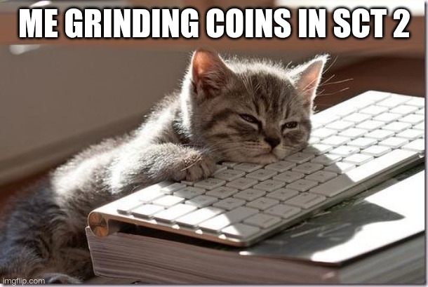 I have to watch an ad at the end of S.S gear everytime to speed up the process, even tho it's still slow | ME GRINDING COINS IN SCT 2 | image tagged in bored keyboard cat | made w/ Imgflip meme maker