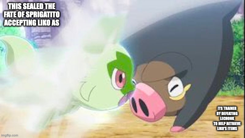 Sprigatito Attacking Lechonk | THIS SEALED THE FATE OF SPRIGATITO ACCEPTING LIKO AS; ITS TRAINER BY DEFEATING LECHONK TO HELP RETRIEVE LIKO'S ITEMS | image tagged in sprigatito,lechonk,pokemon,anime,memes | made w/ Imgflip meme maker