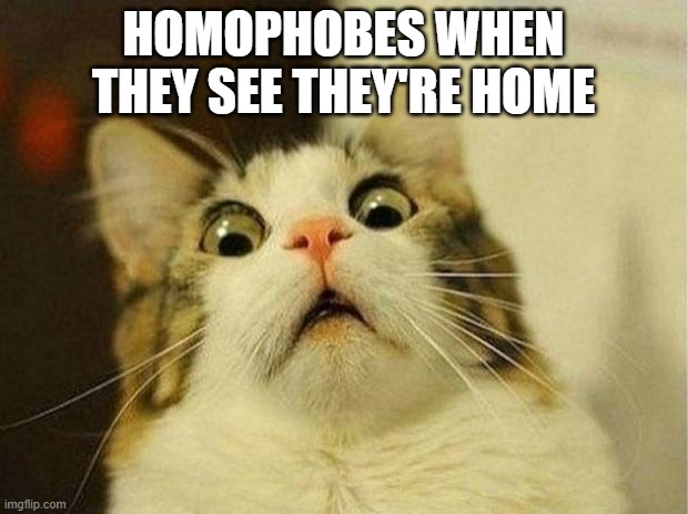 scared cat | HOMOPHOBES WHEN THEY SEE THEY'RE HOME | image tagged in memes,scared cat | made w/ Imgflip meme maker