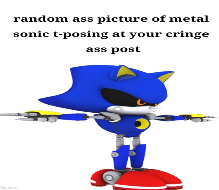 Metal sonic t-pose | image tagged in metal sonic t-pose | made w/ Imgflip meme maker