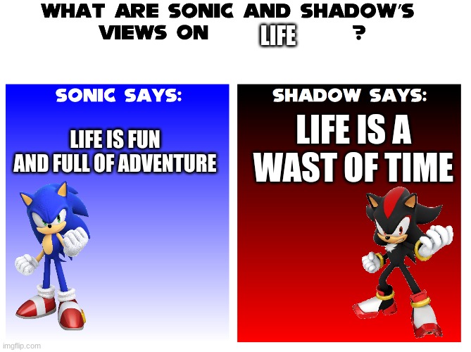 sonic's and shadow | LIFE; LIFE IS A WAST OF TIME; LIFE IS FUN AND FULL OF ADVENTURE | image tagged in life | made w/ Imgflip meme maker