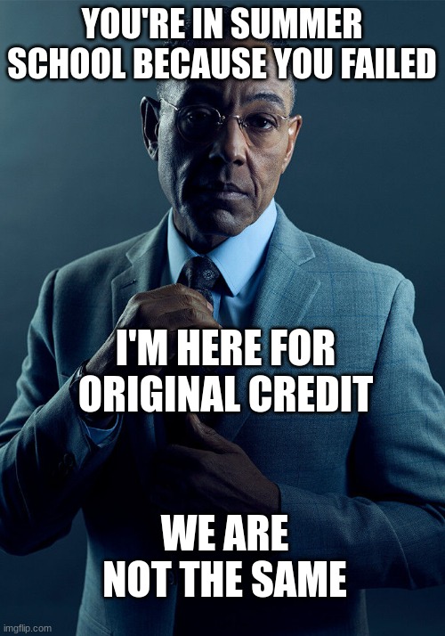 To whoever makes fun of the smart kid for getting into summer school | YOU'RE IN SUMMER SCHOOL BECAUSE YOU FAILED; I'M HERE FOR ORIGINAL CREDIT; WE ARE NOT THE SAME | image tagged in gus fring we are not the same | made w/ Imgflip meme maker