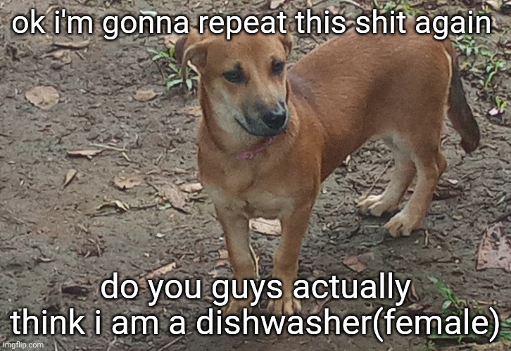 jéan | ok i'm gonna repeat this shit again; do you guys actually think i am a dishwasher(female) | image tagged in j an | made w/ Imgflip meme maker