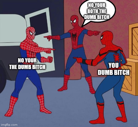 Spider Man Triple | NO YOUR BOTH THE DUMB BITCH; NO YOUR THE DUMB BITCH; YOU DUMB BITCH | image tagged in spider man triple,funny memes,memes,meme,lol so funny,lol | made w/ Imgflip meme maker