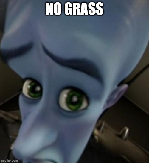 Megamind no bitches | NO GRASS | image tagged in megamind no bitches | made w/ Imgflip meme maker