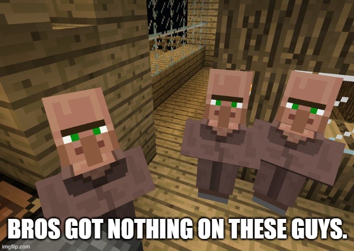 Minecraft Villagers | BROS GOT NOTHING ON THESE GUYS. | image tagged in minecraft villagers | made w/ Imgflip meme maker