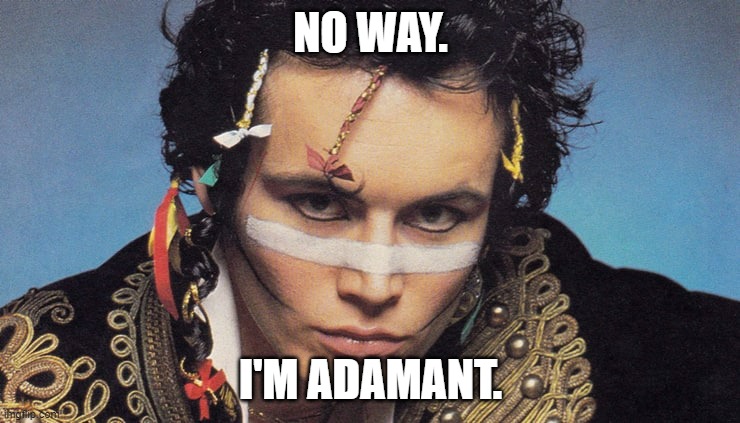 I am adamant | NO WAY. I'M ADAMANT. | image tagged in adam ant,funny,school,vocabulary | made w/ Imgflip meme maker