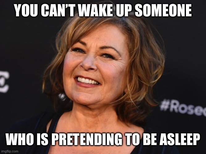 Roseanne speaks! | YOU CAN’T WAKE UP SOMEONE; WHO IS PRETENDING TO BE ASLEEP | image tagged in roseanne | made w/ Imgflip meme maker