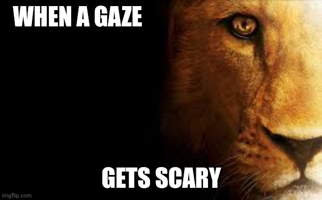 Aslan Quote | WHEN A GAZE; GETS SCARY | image tagged in aslan quote | made w/ Imgflip meme maker