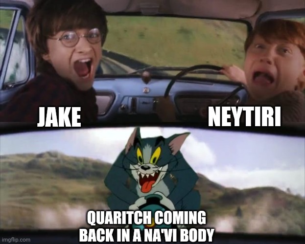 Tom chasing Harry and Ron Weasly | NEYTIRI; JAKE; QUARITCH COMING BACK IN A NA'VI BODY | image tagged in tom chasing harry and ron weasly | made w/ Imgflip meme maker