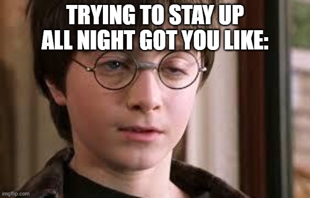 Harry potter stoned | TRYING TO STAY UP ALL NIGHT GOT YOU LIKE: | image tagged in harry potter stoned | made w/ Imgflip meme maker