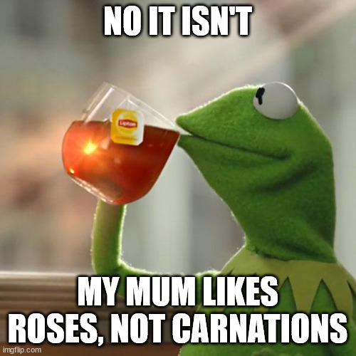 But That's None Of My Business Meme | NO IT ISN'T MY MUM LIKES ROSES, NOT CARNATIONS | image tagged in memes,but that's none of my business,kermit the frog | made w/ Imgflip meme maker