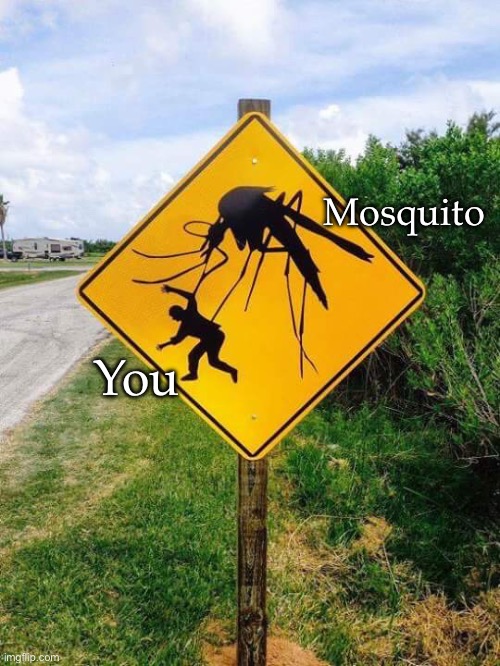 Florida | Mosquito; You | image tagged in mosquito,meanwhile in florida | made w/ Imgflip meme maker