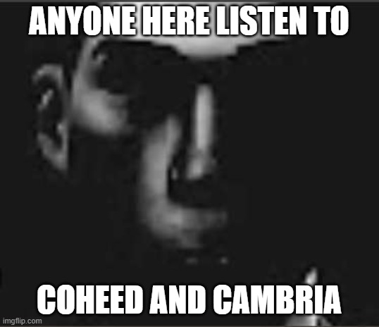 what | ANYONE HERE LISTEN TO; COHEED AND CAMBRIA | image tagged in what | made w/ Imgflip meme maker