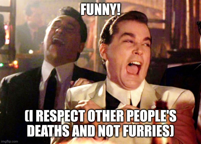 FUNNY! (I RESPECT OTHER PEOPLE'S DEATHS AND NOT FURRIES) | image tagged in memes,good fellas hilarious | made w/ Imgflip meme maker