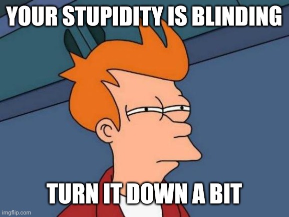 Blinding stupidity | YOUR STUPIDITY IS BLINDING; TURN IT DOWN A BIT | image tagged in memes,futurama fry | made w/ Imgflip meme maker