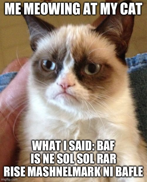 Grumpy Cat | ME MEOWING AT MY CAT; WHAT I SAID: BAF IS NE SOL SOL RAR RISE MASHNELMARK NI BAFLE | image tagged in memes,grumpy cat | made w/ Imgflip meme maker