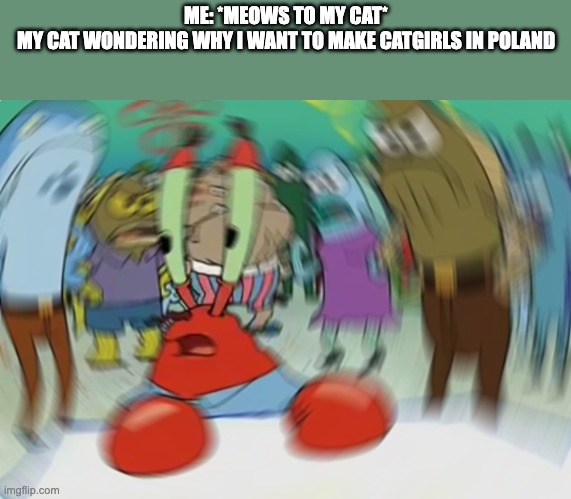 Mr Krabs Blur Meme | ME: *MEOWS TO MY CAT*
MY CAT WONDERING WHY I WANT TO MAKE CATGIRLS IN POLAND | image tagged in memes,mr krabs blur meme | made w/ Imgflip meme maker