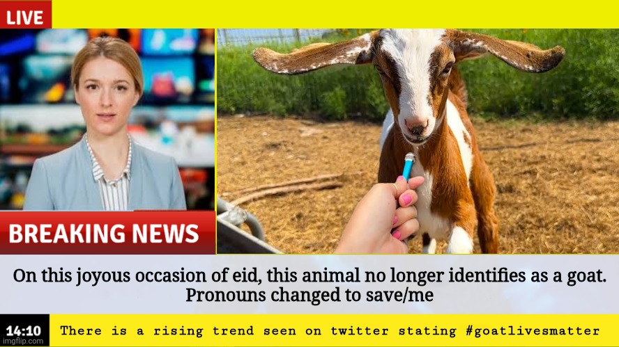 Goatlivesmatter | On this joyous occasion of eid, this animal no longer identifies as a goat.
Pronouns changed to save/me; There is a rising trend seen on twitter stating #goatlivesmatter | image tagged in memes,goat,lgbtq,pronouns,breaking news,funny memes | made w/ Imgflip meme maker