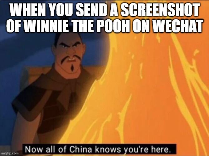 CCP Moment | WHEN YOU SEND A SCREENSHOT OF WINNIE THE POOH ON WECHAT | image tagged in now all of china knows you're here,china,winnie the pooh,wechat | made w/ Imgflip meme maker