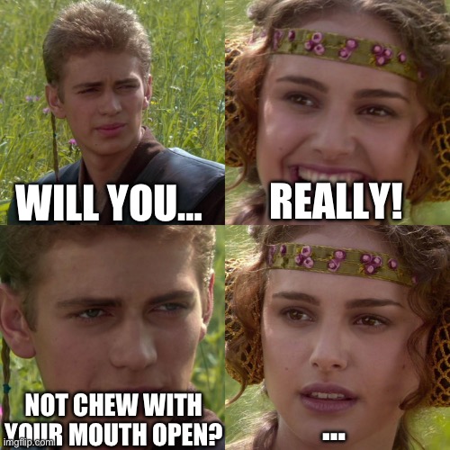 Will you? | WILL YOU…; REALLY! NOT CHEW WITH YOUR MOUTH OPEN? … | image tagged in anakin padme 4 panel | made w/ Imgflip meme maker