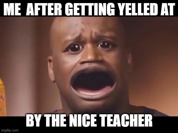 Sadness | ME  AFTER GETTING YELLED AT; BY THE NICE TEACHER | image tagged in fun | made w/ Imgflip meme maker