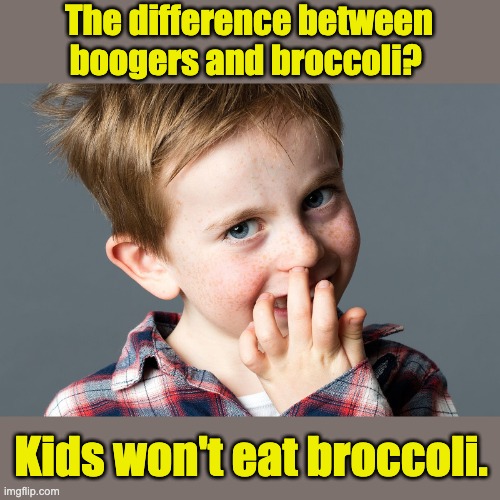 Truth | The difference between boogers and broccoli? Kids won't eat broccoli. | image tagged in dad joke | made w/ Imgflip meme maker