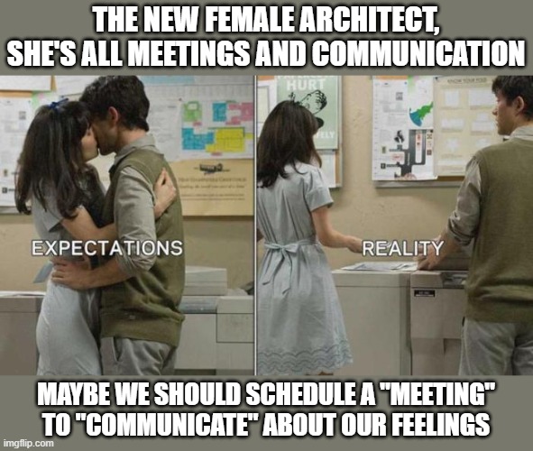 We have a new female architect | THE NEW FEMALE ARCHITECT, SHE'S ALL MEETINGS AND COMMUNICATION; MAYBE WE SHOULD SCHEDULE A "MEETING" TO "COMMUNICATE" ABOUT OUR FEELINGS | image tagged in 500 days of summer,zooey deschanel,architect,romantic | made w/ Imgflip meme maker