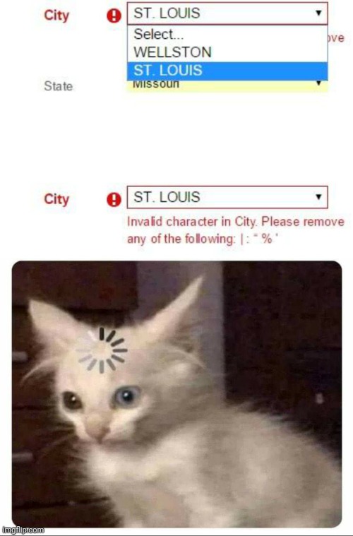 St. Louis | image tagged in buffering cat,st louis,you had one job,memes,state,search | made w/ Imgflip meme maker