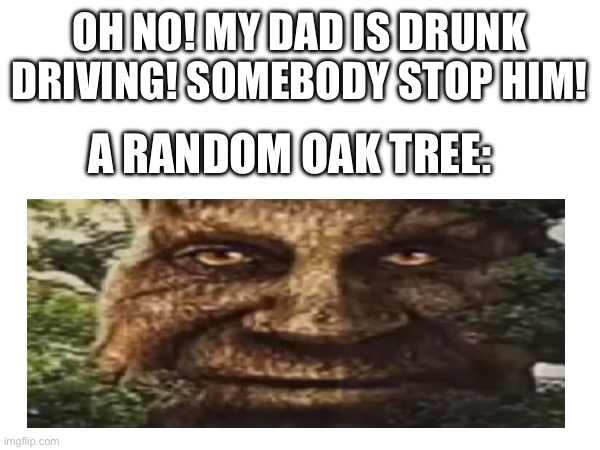 Tree | OH NO! MY DAD IS DRUNK DRIVING! SOMEBODY STOP HIM! A RANDOM OAK TREE: | image tagged in tree,funny | made w/ Imgflip meme maker