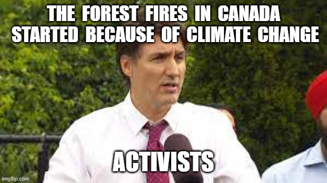 THE  FOREST  FIRES  IN  CANADA  STARTED  BECAUSE  OF  CLIMATE  CHANGE; ACTIVISTS | image tagged in justin trudeau,climate change,hoax,global warming,forest fires | made w/ Imgflip meme maker