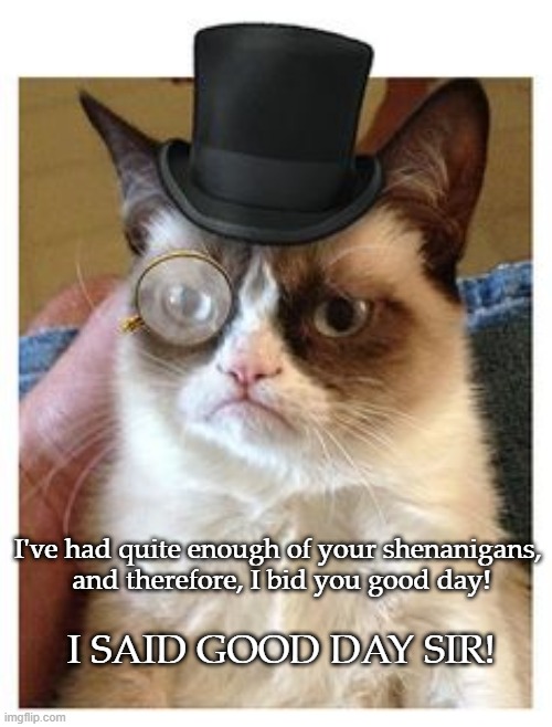 Good Day Sir | I've had quite enough of your shenanigans, 
and therefore, I bid you good day! I SAID GOOD DAY SIR! | image tagged in grumpy cat,good day sir,grumpy cat top hat,top hat,monicle,shenanigans | made w/ Imgflip meme maker