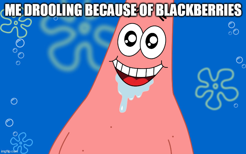 Patrick Drooling Spongebob | ME DROOLING BECAUSE OF BLACKBERRIES | image tagged in patrick drooling spongebob | made w/ Imgflip meme maker