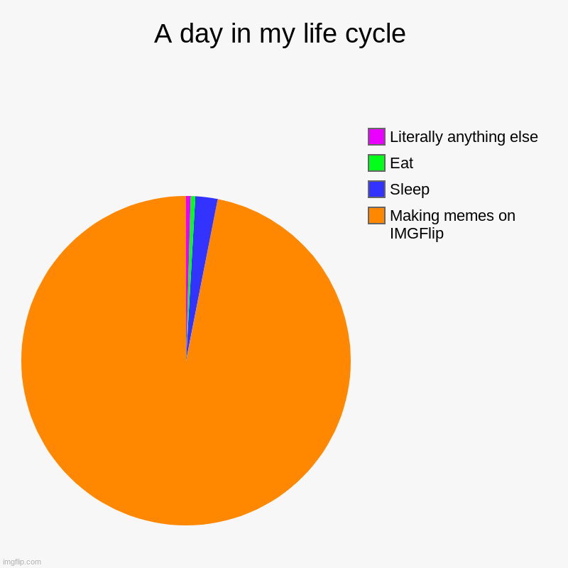 A day in my life cycle | Making memes on IMGFlip, Sleep, Eat, Literally anything else | image tagged in charts,pie charts | made w/ Imgflip chart maker