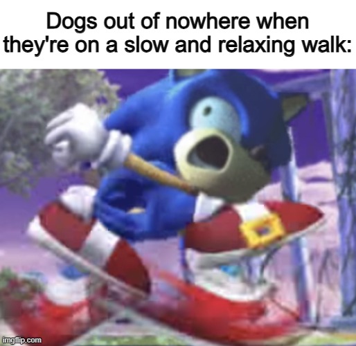 *Zooms away* | Dogs out of nowhere when they're on a slow and relaxing walk: | image tagged in gotta go fast | made w/ Imgflip meme maker