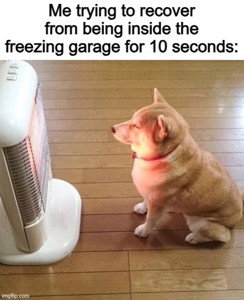 It's really cold in there, ESPECIALLY the floor T-T | Me trying to recover from being inside the freezing garage for 10 seconds: | image tagged in dog enjoying the warm heater | made w/ Imgflip meme maker