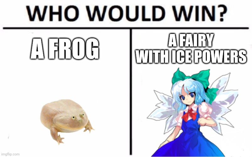 Who Would Win? Meme | A FROG; A FAIRY WITH ICE POWERS | image tagged in memes,who would win,touhou | made w/ Imgflip meme maker